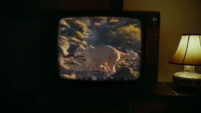 Video Reference: Lamp, Art, Fawn, Projection screen, Output device, Display device, Gadget, Flat panel display, Multimedia, Visual arts