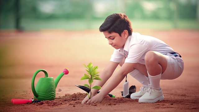 Video Reference: Shoe, People in nature, Green, Plant, Shorts, Happy, Grass, Sunlight, Finger, Leisure