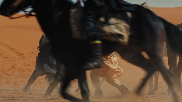 Video Reference: Working animal, Thigh, Fun, Human leg, Dog breed, Event, Entertainment, Landscape, Performing arts, Sports
