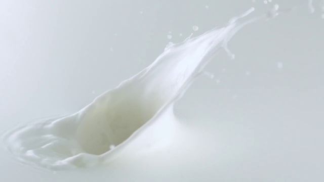 Video Reference: Liquid, Atmospheric phenomenon, Petal, Plant, Transparent material, Macro photography, Water, Wildlife, Alismatales, Fog