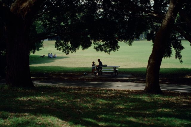 Video Reference: park, trees, grass, picnic table, outdoors, shaded, field, people, child, family, leisure, landscape