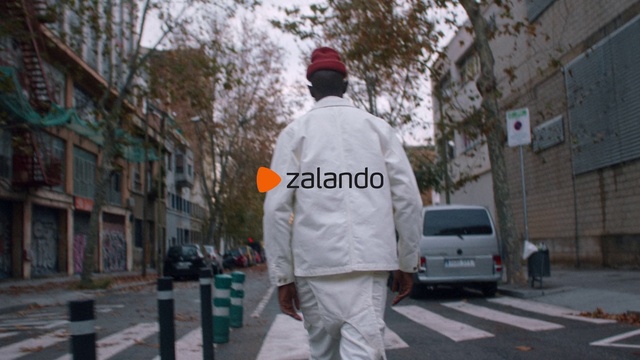 Video Reference: Car, Vehicle, Automotive lighting, High-visibility clothing, Sleeve, Standing, Motor vehicle, Gesture, Road surface, Asphalt