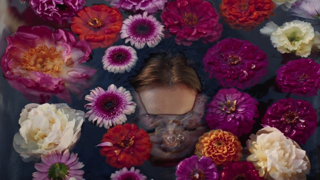 Video Reference: Flower, Plant, Petal, Purple, Blue, Organism, Pink, Flower Arranging, Magenta, Public space