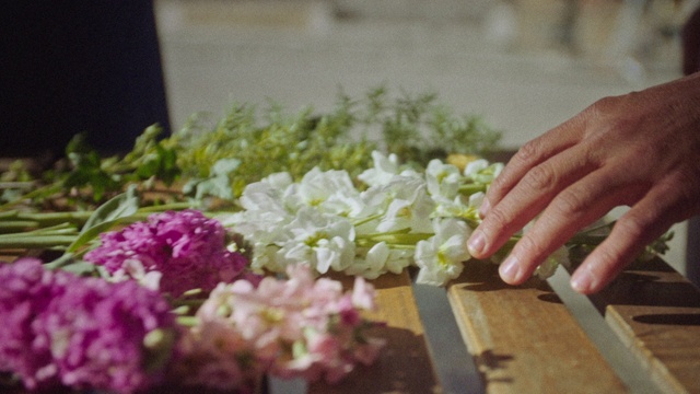 Video Reference: Flower, Petal, Ingredient, Flower Arranging, Flowering plant, Floristry, Annual plant, Bouquet, Cut flowers, Shrub