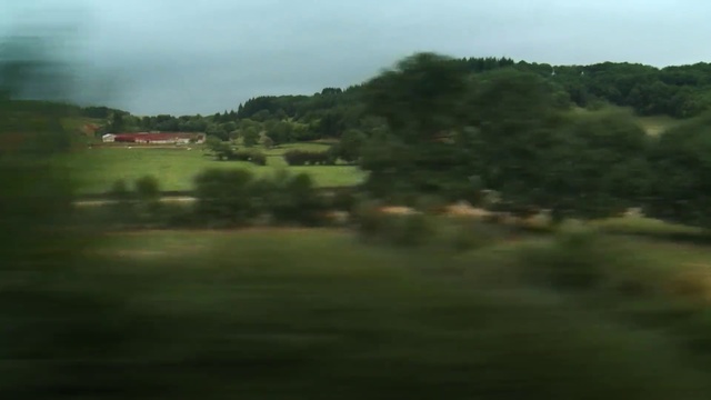 Video Reference: Sky, Cloud, Plant, Tree, Natural landscape, Landscape, Grass, Grassland, Horizon, Cumulus