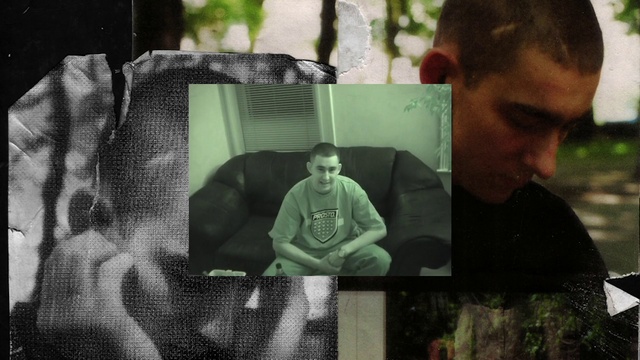 Video Reference: Leaf, Sleeve, Organism, T-shirt, Grass, Adaptation, Tints and shades, Rectangle, Art, Technology