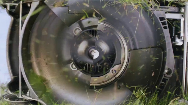 Video Reference: Wheel, Tire, Automotive tire, Plant, Motor vehicle, Water, Tread, Rim, Vehicle, Terrestrial plant