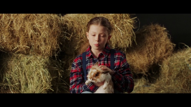 Video Reference: Dog, Dog breed, Carnivore, People in nature, Fawn, Companion dog, Grass, Toy dog, Plaid, Fur