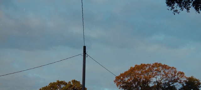 Video Reference: Cloud, Sky, Tree, Electricity, Overhead power line, Cumulus, Pole, Wire, Public utility, Twig