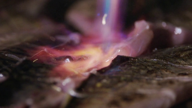 Video Reference: Plant, Purple, Petal, Terrestrial plant, Tree, Grass, Wood, Magenta, Marine biology, Flowering plant