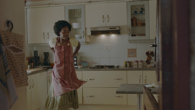 Video Reference: Cabinetry, Dress, Kitchen, Flooring, Countertop, Room, Fashion design, Event, Homemaker, Service