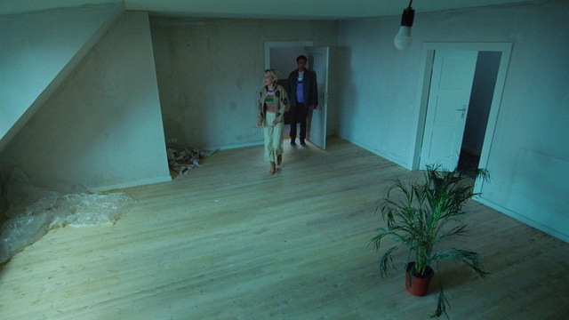 Video Reference: Plant, Wood, Flowerpot, Floor, Flooring, Hardwood, Door, Houseplant, Leisure, Wood stain