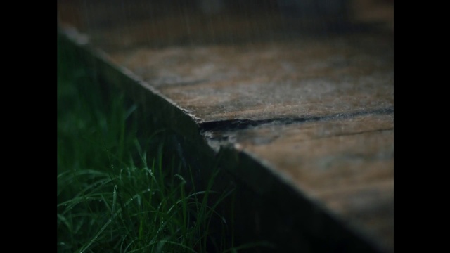 Video Reference: Atmosphere, Water, Plant, Wood, Sky, Grass, Road surface, Rectangle, Tints and shades, Natural landscape