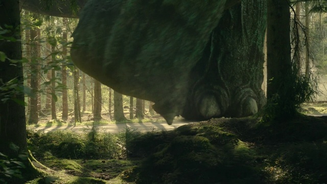 Video Reference: Plant, Ecoregion, Natural landscape, Natural environment, Branch, Botany, Wood, Trunk, Organism, Vegetation