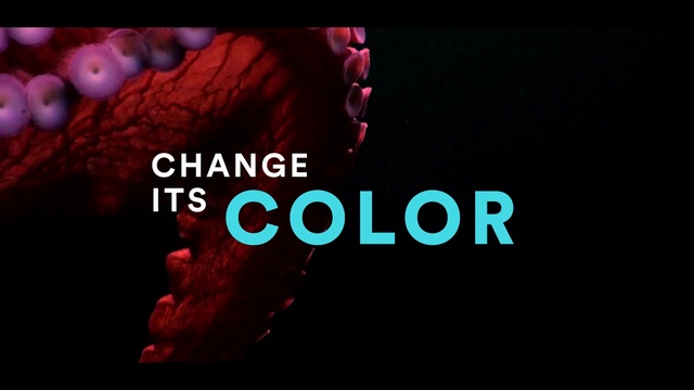Video Reference: Organism, Gesture, Font, Petal, Magenta, Darkness, Space, Electric blue, Graphics, Science