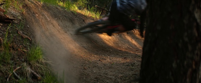 Video Reference: Plant, Wood, Working animal, Off-road racing, Terrestrial animal, Landscape, Grass, Recreation, Forest, Dirt road