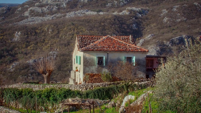 Video Reference: Plant, Window, Plant community, Nature, Leaf, Mountain, Building, Natural landscape, Highland, Tree