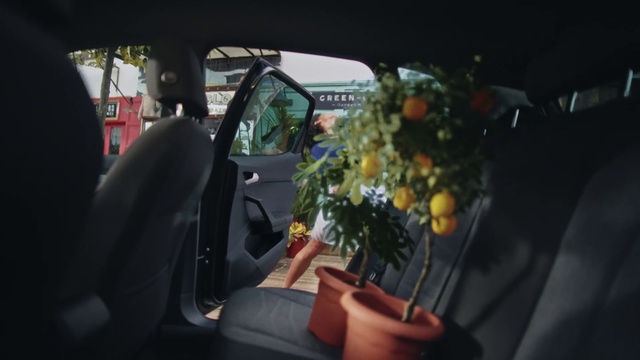 Video Reference: Land vehicle, Car, Vehicle, Plant, Automotive lighting, Motor vehicle, Automotive design, Flower, Automotive mirror, Vehicle door