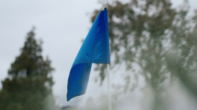 Video Reference: Flag, Sky, Tree, Wind, Electric blue, Pole, Triangle, Winter, Twig, Grass