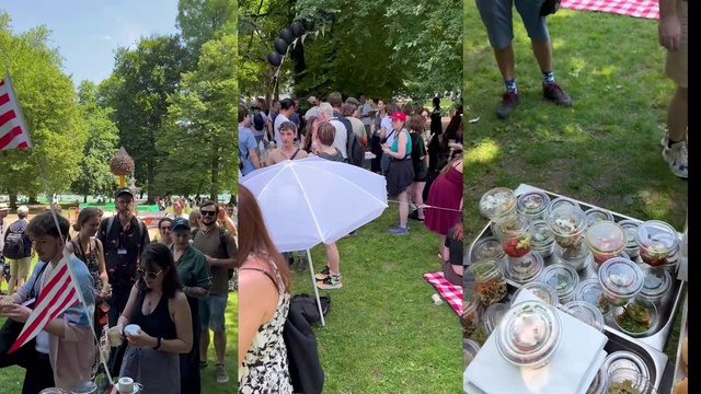 Video Reference: Tree, Grass, Plant, Public space, Leisure, Summer, Recreation, Crowd, Fun, Lawn