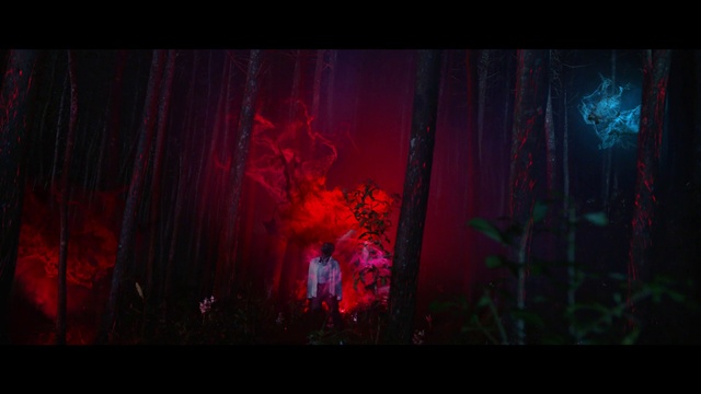 Video Reference: Window, Plant, Rectangle, Tree, Font, Magenta, Tints and shades, Art, Event, Grass