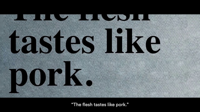 Video Reference: Font, Signage, Electric blue, Brand, Rectangle, Graphics, Pattern, Logo, Banner, Photo caption