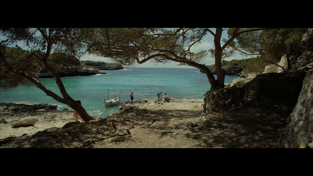 Video Reference: Water, Plant community, Sky, Plant, Tree, Natural environment, Branch, Natural landscape, Wood, Trunk