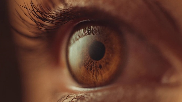 Video Reference: Brown, Eyebrow, Eyelash, Iris, Wood, Flash photography, Close-up, Wrinkle, Macro photography, Cameras & optics