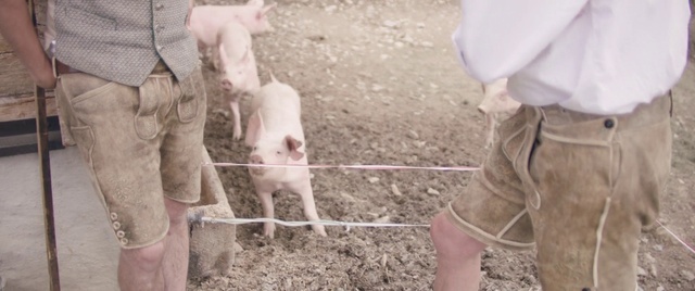 Video Reference: Shorts, Working animal, Fawn, Grass, Human leg, Landscape, Livestock, Soil, Event, Child