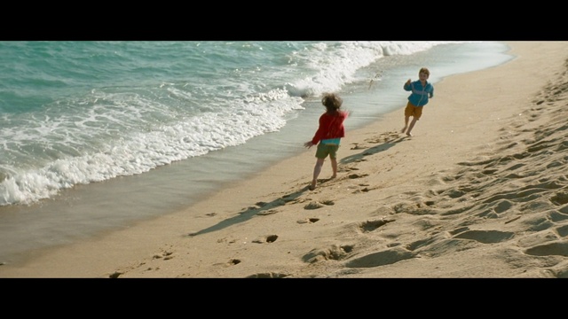 Video Reference: Water, Shorts, People on beach, Beach, People in nature, Tree, Coastal and oceanic landforms, Happy, Wind wave, Horizon