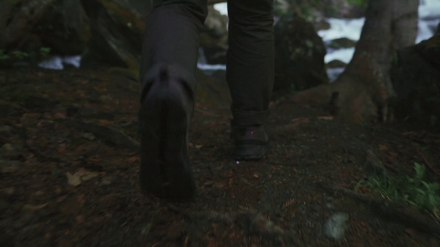 Video Reference: Wood, Thigh, Trunk, Grass, Human leg, Landscape, Forest, Soil, Foot, Jungle