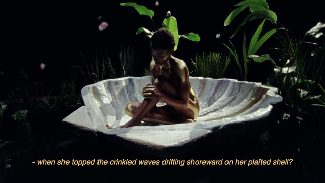 Video Reference: Plant, Flash photography, Terrestrial plant, Adaptation, Grass, Leisure, Happy, People in nature, Barefoot, Event