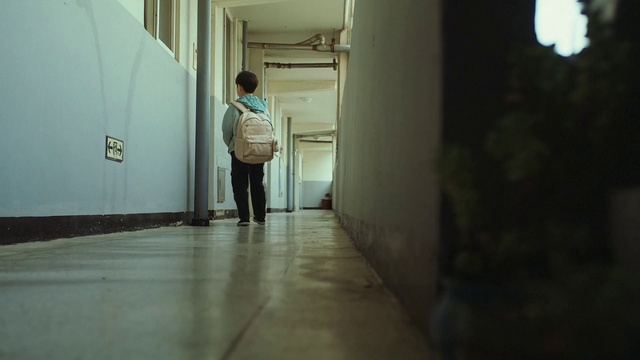 Video Reference: Flooring, Floor, Wood, Tints and shades, Cleanliness, Hardwood, Room, Bag, Symmetry, Road