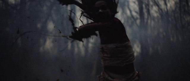 Video Reference: Atmosphere, Cloud, Sky, Window, Flash photography, Plant, Wood, Grey, Tints and shades, Tree