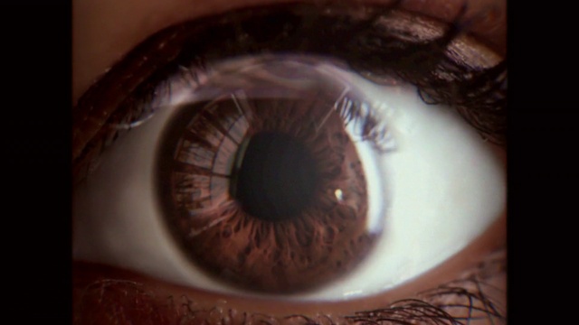 Video Reference: Brown, Eyelash, Iris, Nerve, Blood vessel, Tints and shades, Cameras & optics, Circle, Lens, Electric blue