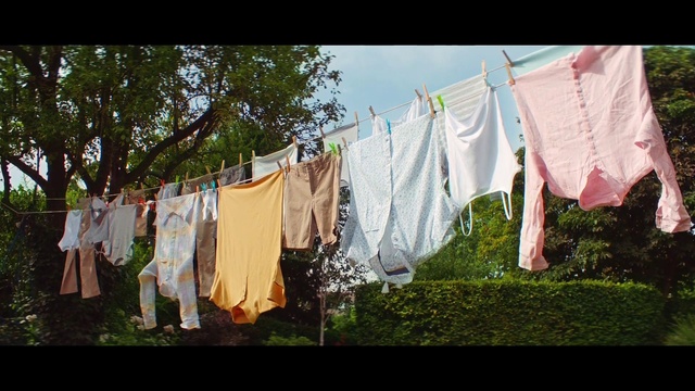 Video Reference: World, Textile, Grass, Plant, T-shirt, Font, Tints and shades, Landscape, Sky, Event