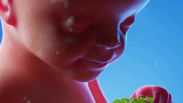 Video Reference: Nose, Lip, Mouth, Eyelash, Plant, Gesture, Finger, Pink, Happy, Red