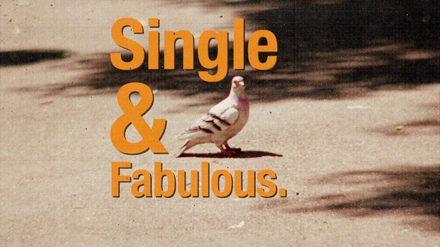 Video Reference: Bird, Organism, Asphalt, Road surface, Beak, Font, Landscape, Peace symbols, Feather, Wing