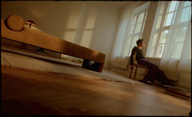 Video Reference: Furniture, Wood, Window, Flooring, Chair, Hardwood, Tints and shades, Suit, House, Wood stain