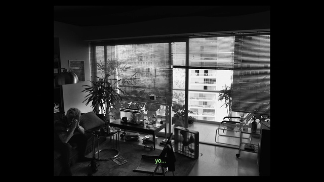 Video Reference: Window, Plant, Houseplant, Black, Fixture, Black-and-white, Style, Chair, Flowerpot, Monochrome