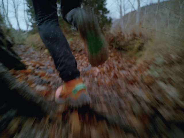 Video Reference: Shoe, Plant, Leg, People in nature, Wood, Grass, Tree, Trunk, Thigh, Human leg