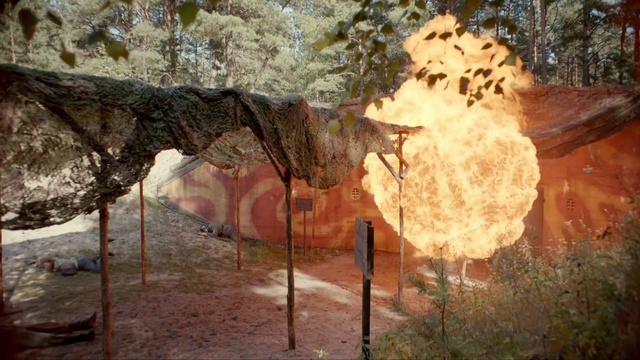 Video Reference: Wood, Branch, Bedrock, Trunk, Formation, Art, Tints and shades, Landscape, Geology, Soil