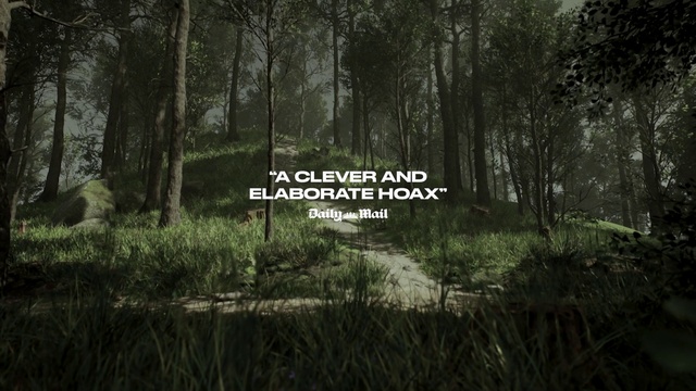 Video Reference: Plant, Tree, Natural landscape, Terrestrial plant, Wood, Trunk, Font, Landscape, Grass, Grassland