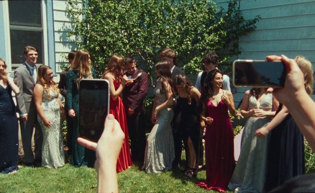 Video Reference: Plant, Bridal clothing, Dress, Gown, Bridal party dress, Window, Grass, Formal wear, Prom, Suit