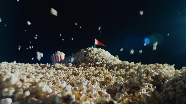 Video Reference: Organism, Underwater, Marine biology, Crowd, Fish, Fish supply, Event, Reef, Coral, Cnidaria