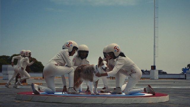 Video Reference: Sky, Dog, Carnivore, Dog breed, Boat, Cloud, Boats and boating--Equipment and supplies, Leisure, Sports, Recreation