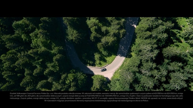 Video Reference: Plant, Natural landscape, Terrestrial plant, Slope, Tree, Font, Grass, Landscape, Asphalt, Road