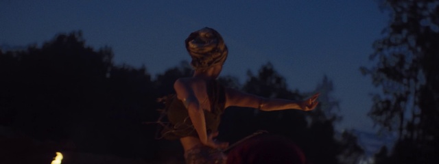 Video Reference: Sky, Flash photography, Tree, Wood, Landscape, Astronomical object, Midnight, Sculpture, Art, Event