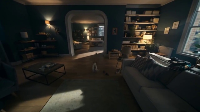 Video Reference: Bookcase, Couch, Shelf, Table, Picture frame, Shelving, Grey, Wood, Living room, Floor