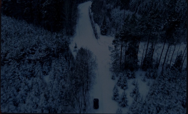 Video Reference: Snow, Leaf, Branch, Twig, Plant, Wood, Grey, Atmospheric phenomenon, Freezing, Natural landscape